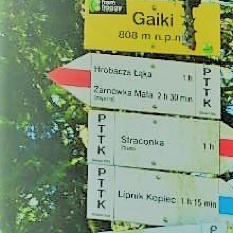 Gaiki