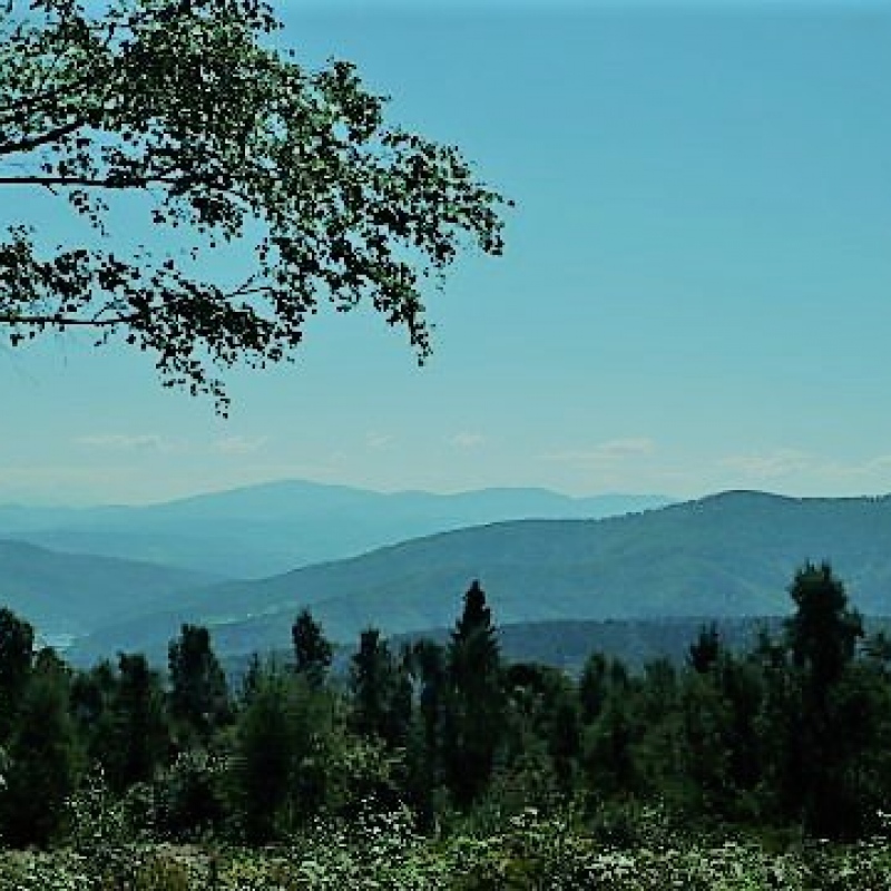 Widok z Hrobaczej
