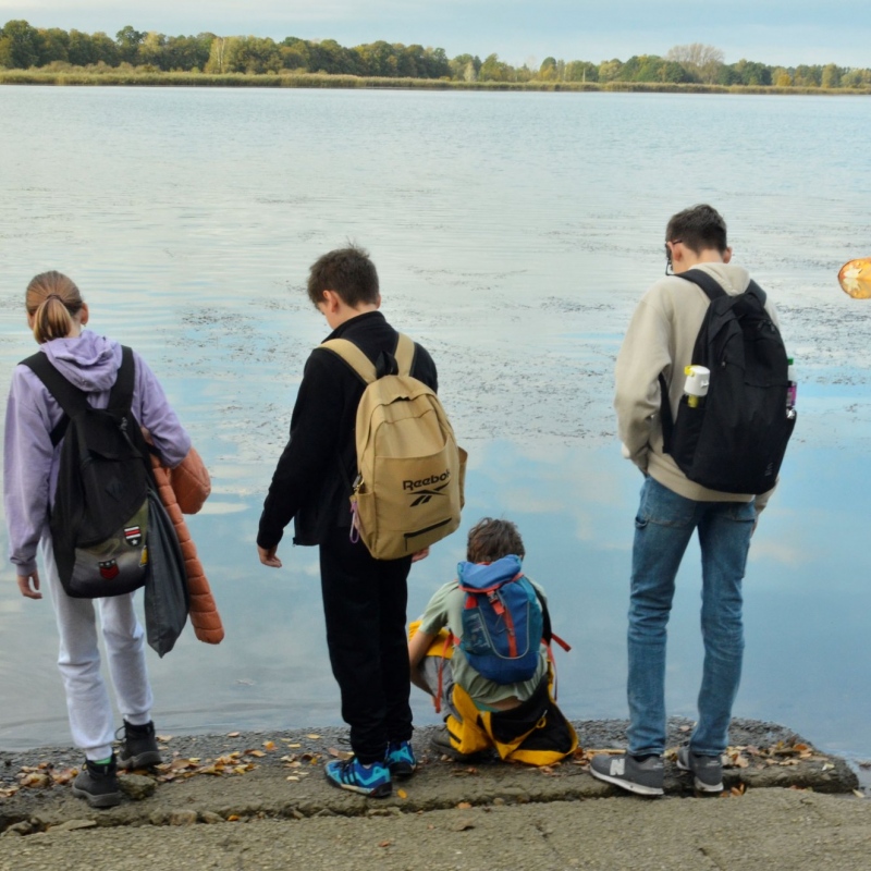 Nad wodą wśród goczałkowickich stawów