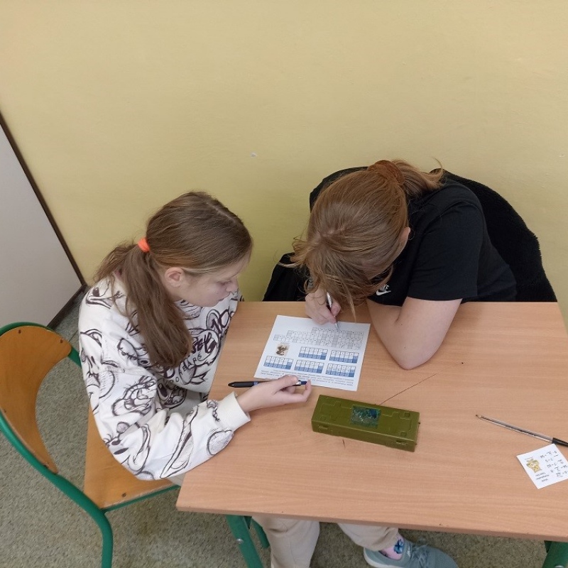 Uczniowie podczas wykonywania zadań podczas XIII WMTDay