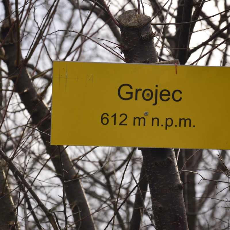 Góra Grojec