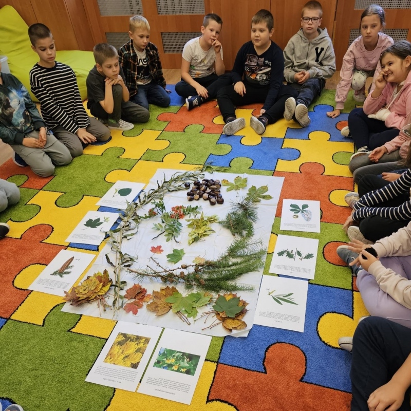Uczniowie podczas zajęć w ramach projektu "Świetlicowa fabryka tlenu"