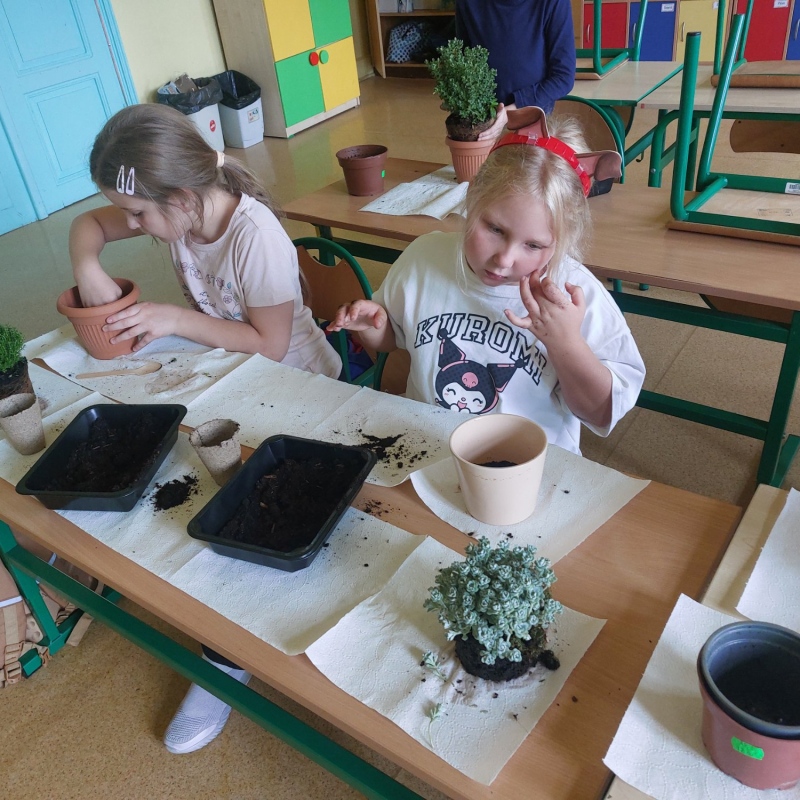 Uczniowie sadzący rośliny