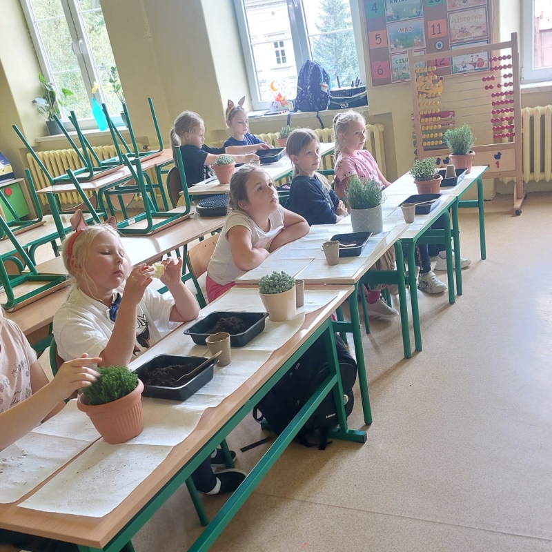 Uczniowie sadzący rośliny