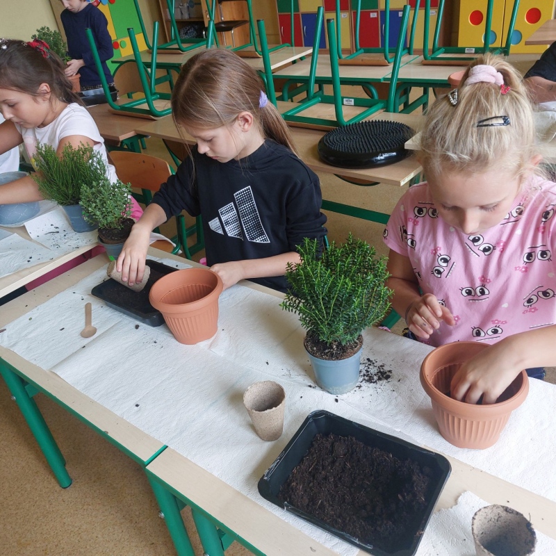 Uczniowie sadzący rośliny