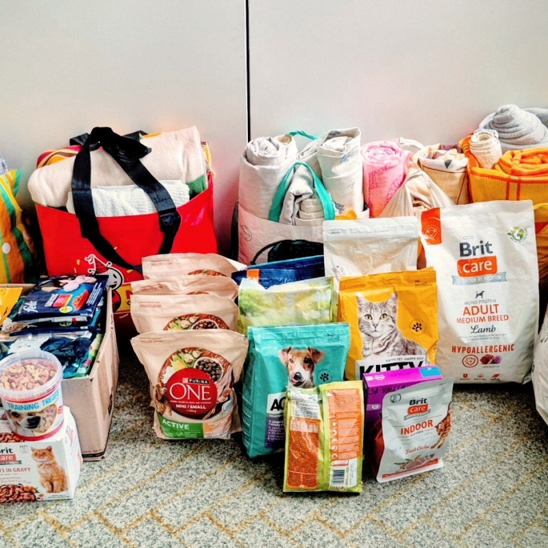 Zebrane dary przekazane przez uczniów naszej szkoły w ramach akcji pomocowej dla schroniska