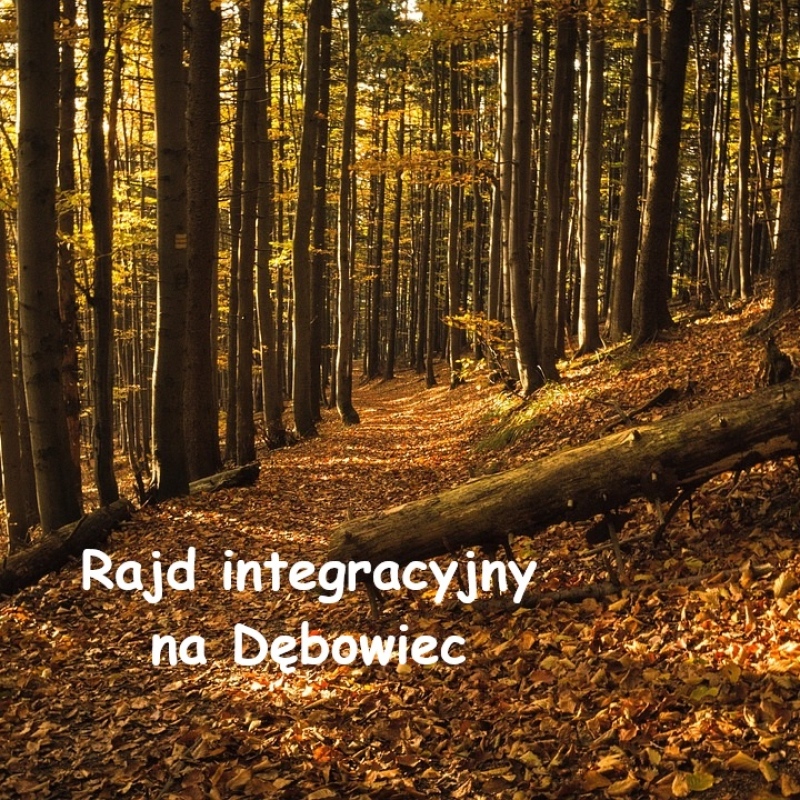 drzewa jesienią