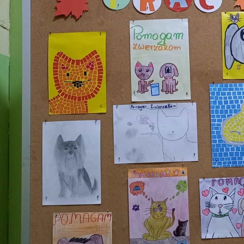 Galeria prac wykonanych przez uczniów SP 10 Towarzystwa Szkolnego im M. Reja w Bielsku-Białej