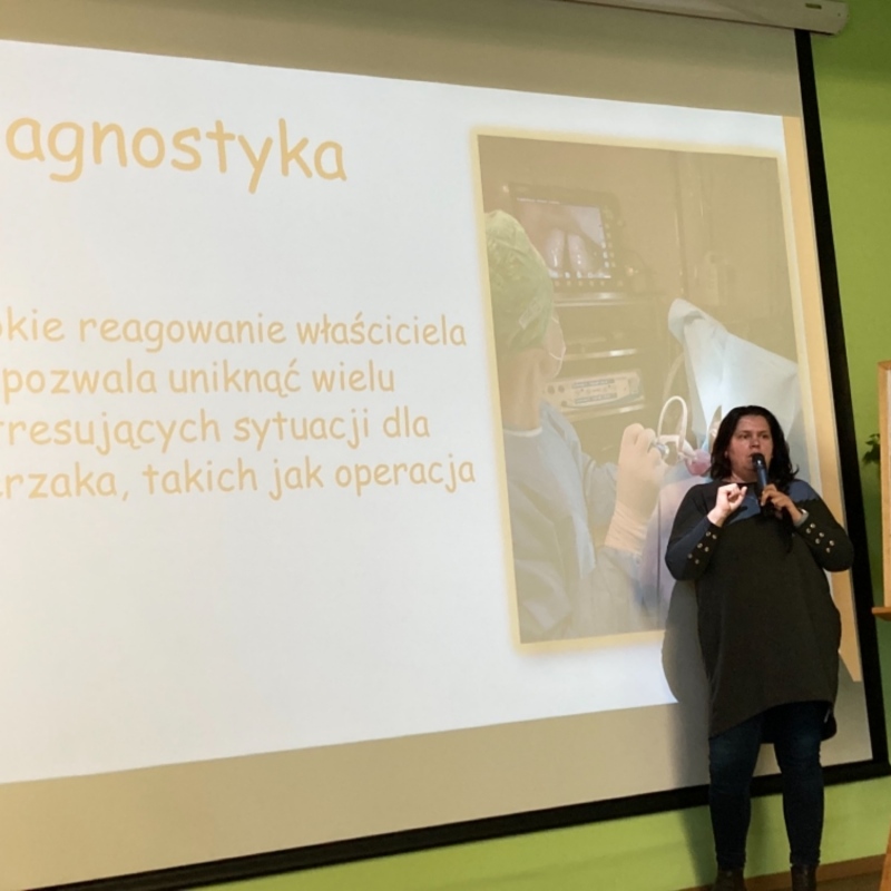zdjecie: